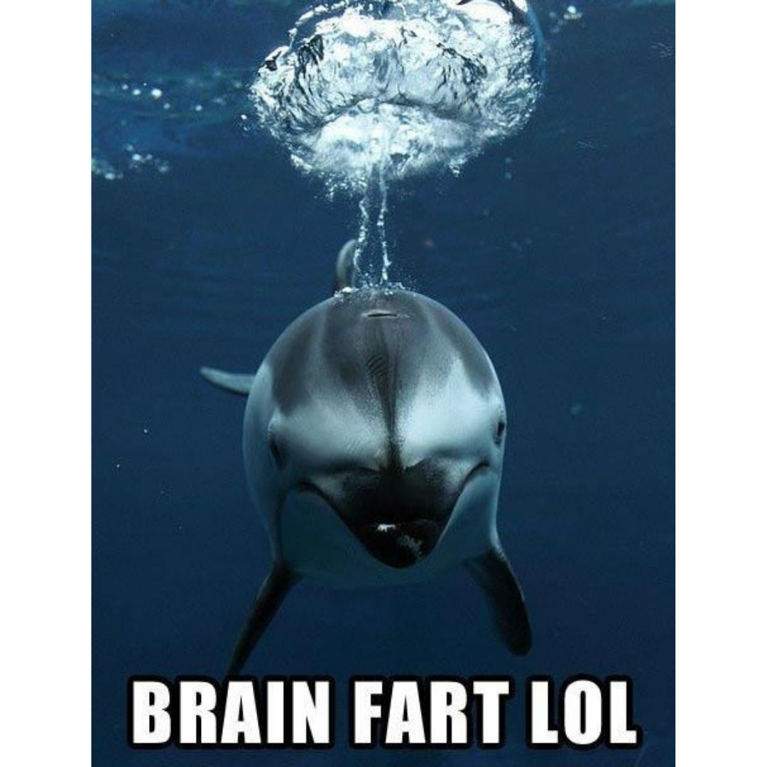 Brain fart lol scuba diving meme