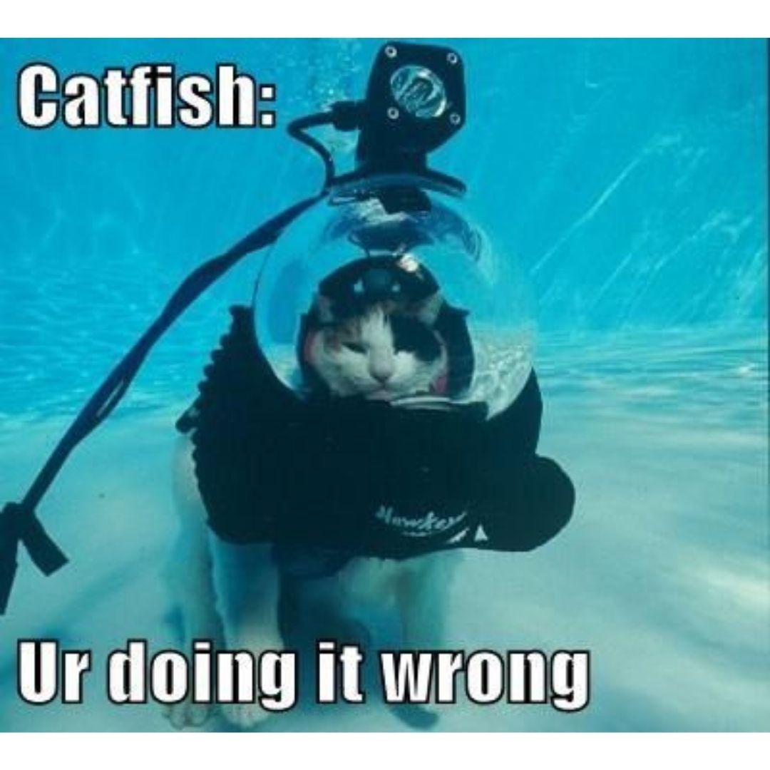 Catfish doing it wrong funny scuba diving meme