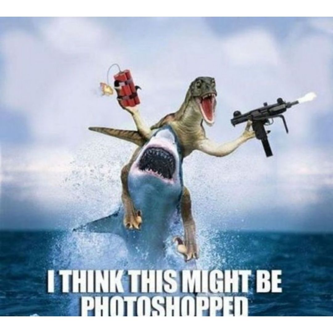 Dinosaur shark scuba diving meme