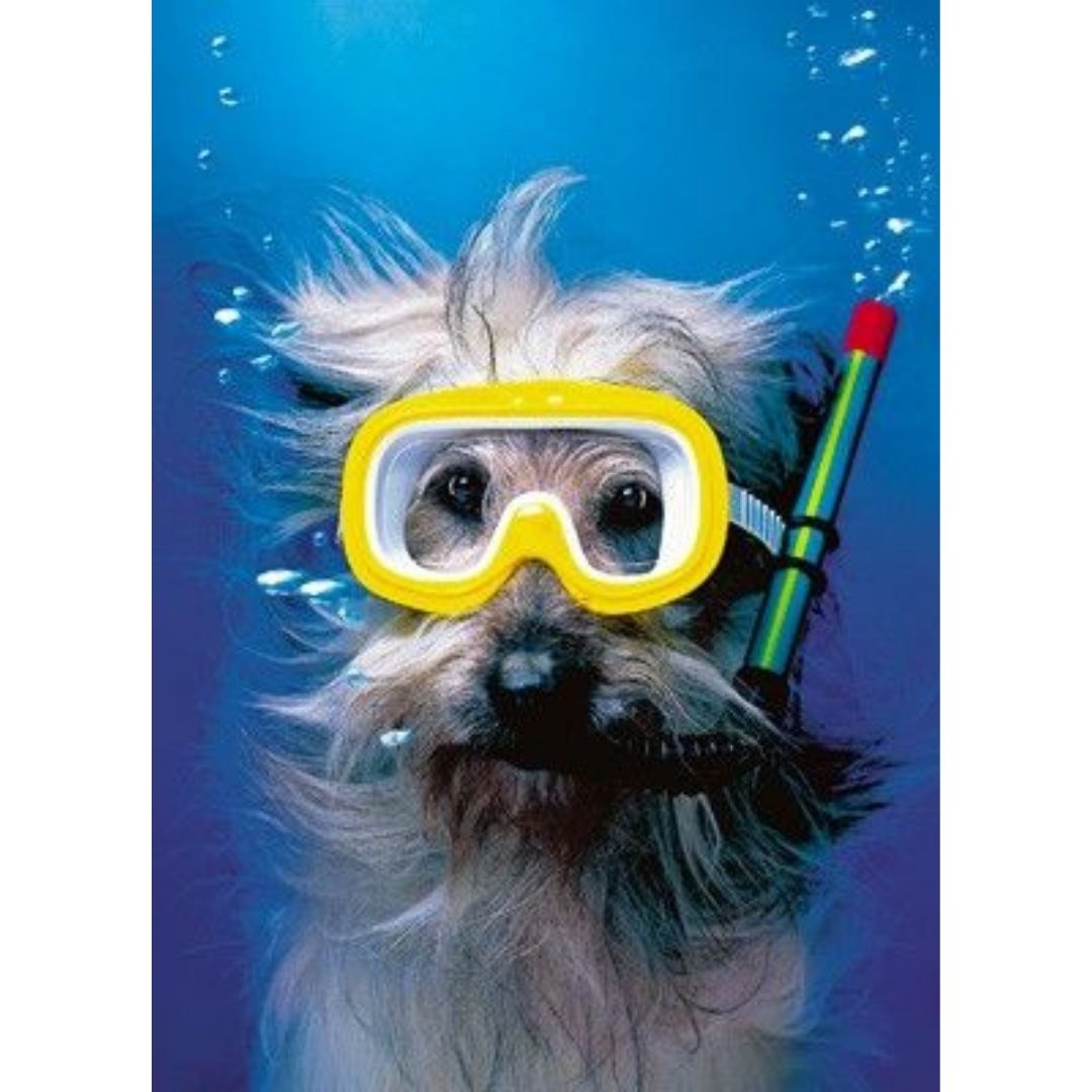 Diving dog scuba diving meme