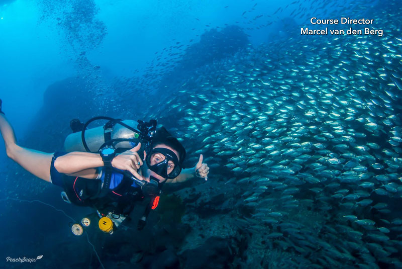 Get your PADI Open Water Diver certification
