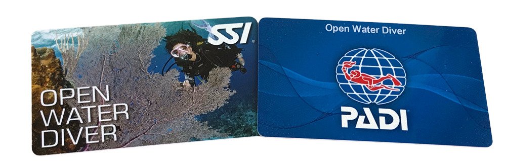 Is PADI or SSI better?