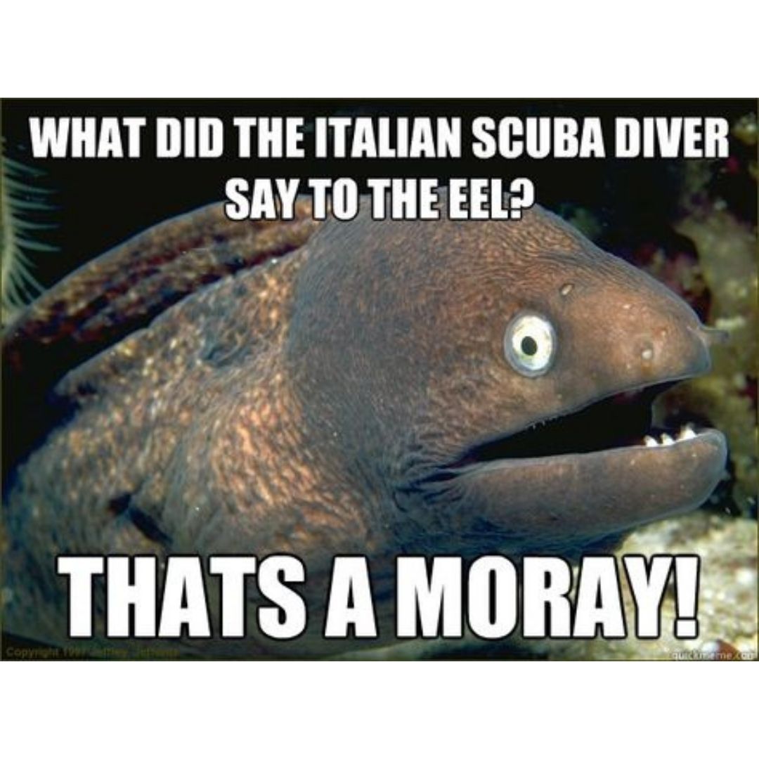 Italian scuba diver moray scuba diving meme