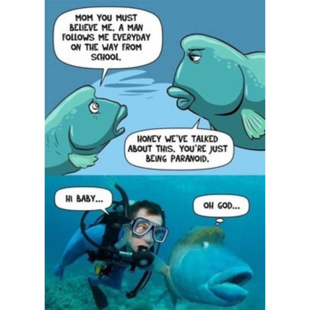 Paranoid fish funny scuba diving meme