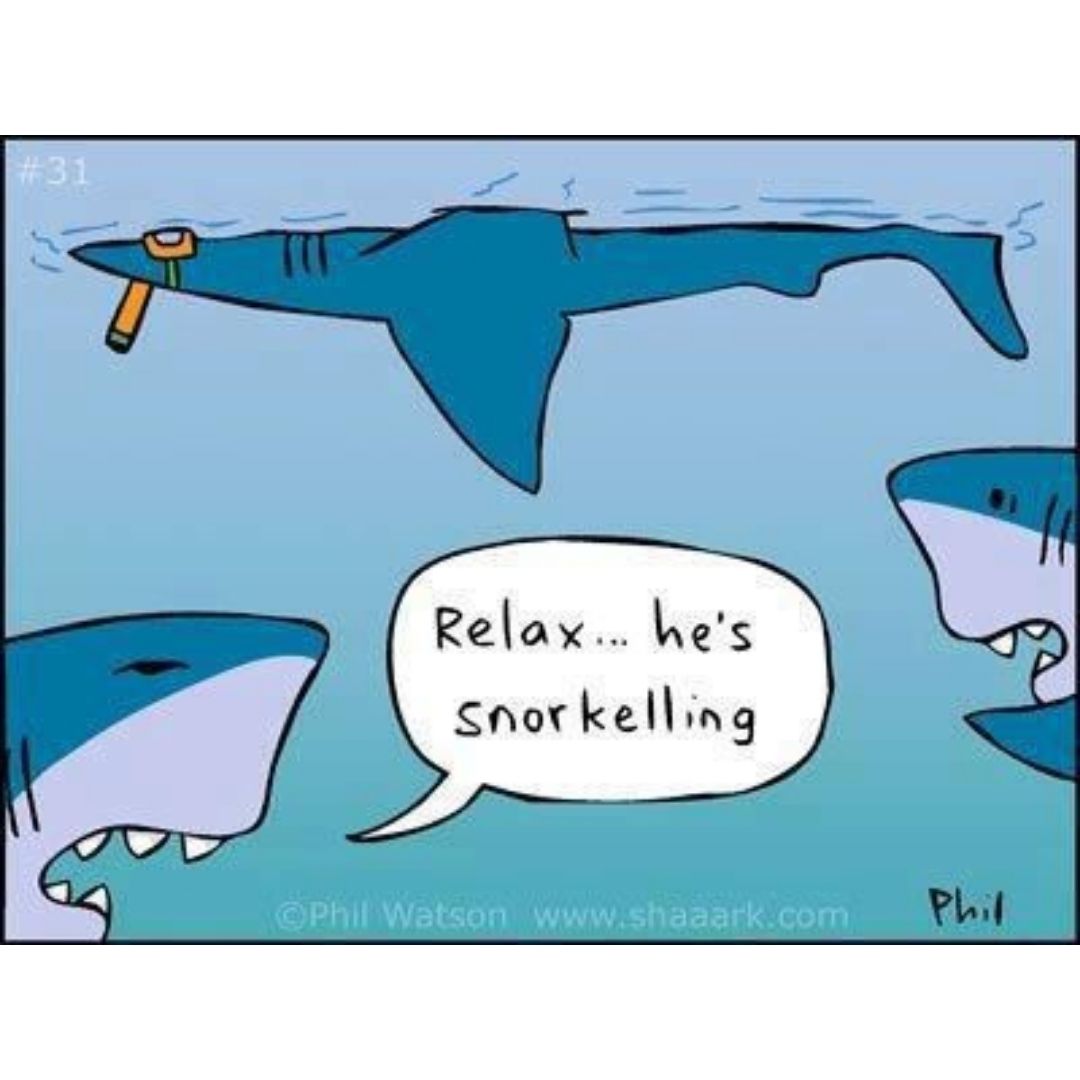 Relax he is snorkeling shark funny scuba diving meme
