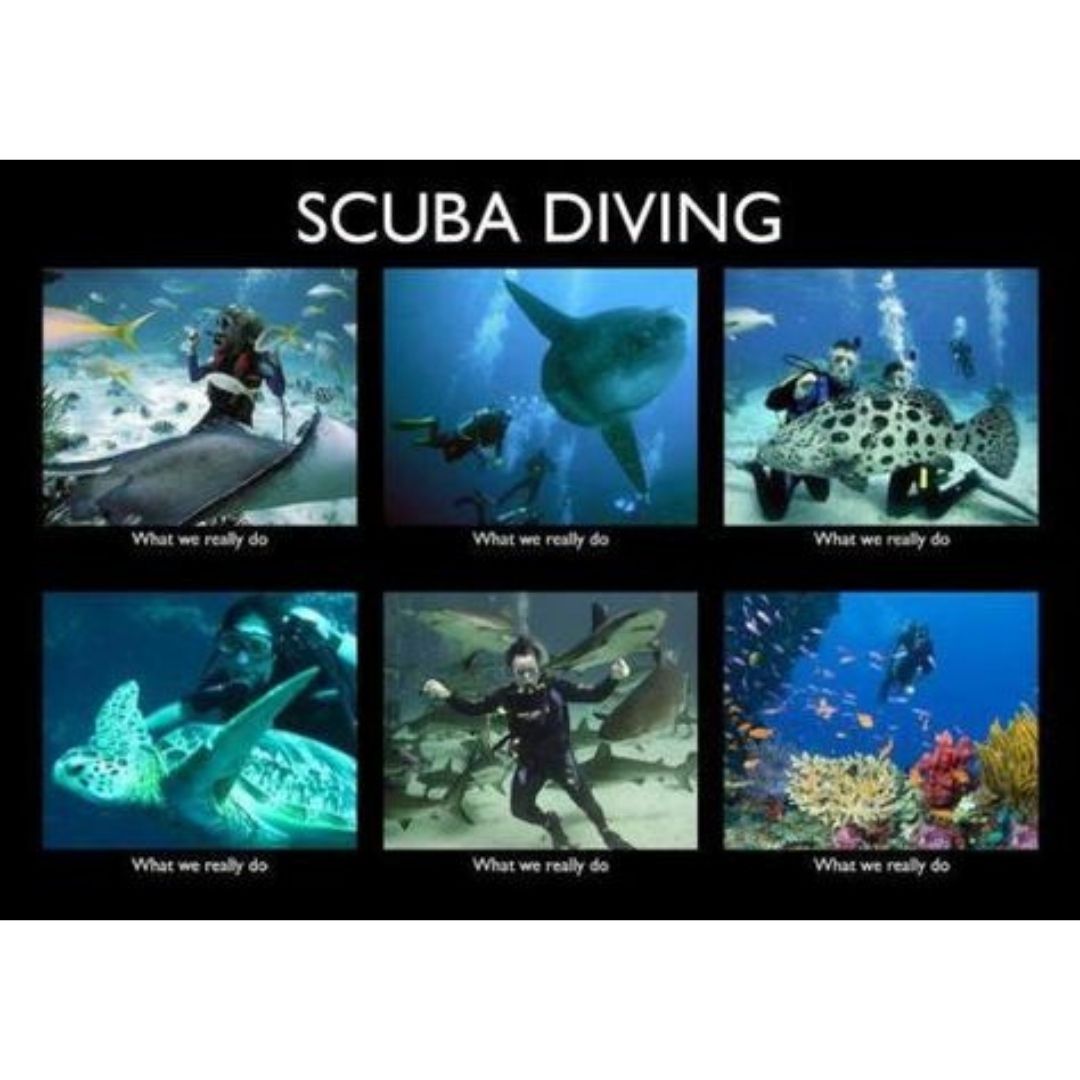 Scuba Diving 2 funny scuba diving meme