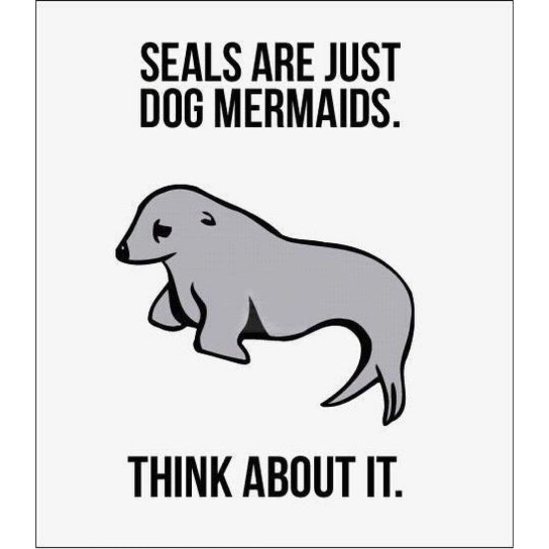 Seals dog mermaids funny scuba diving meme