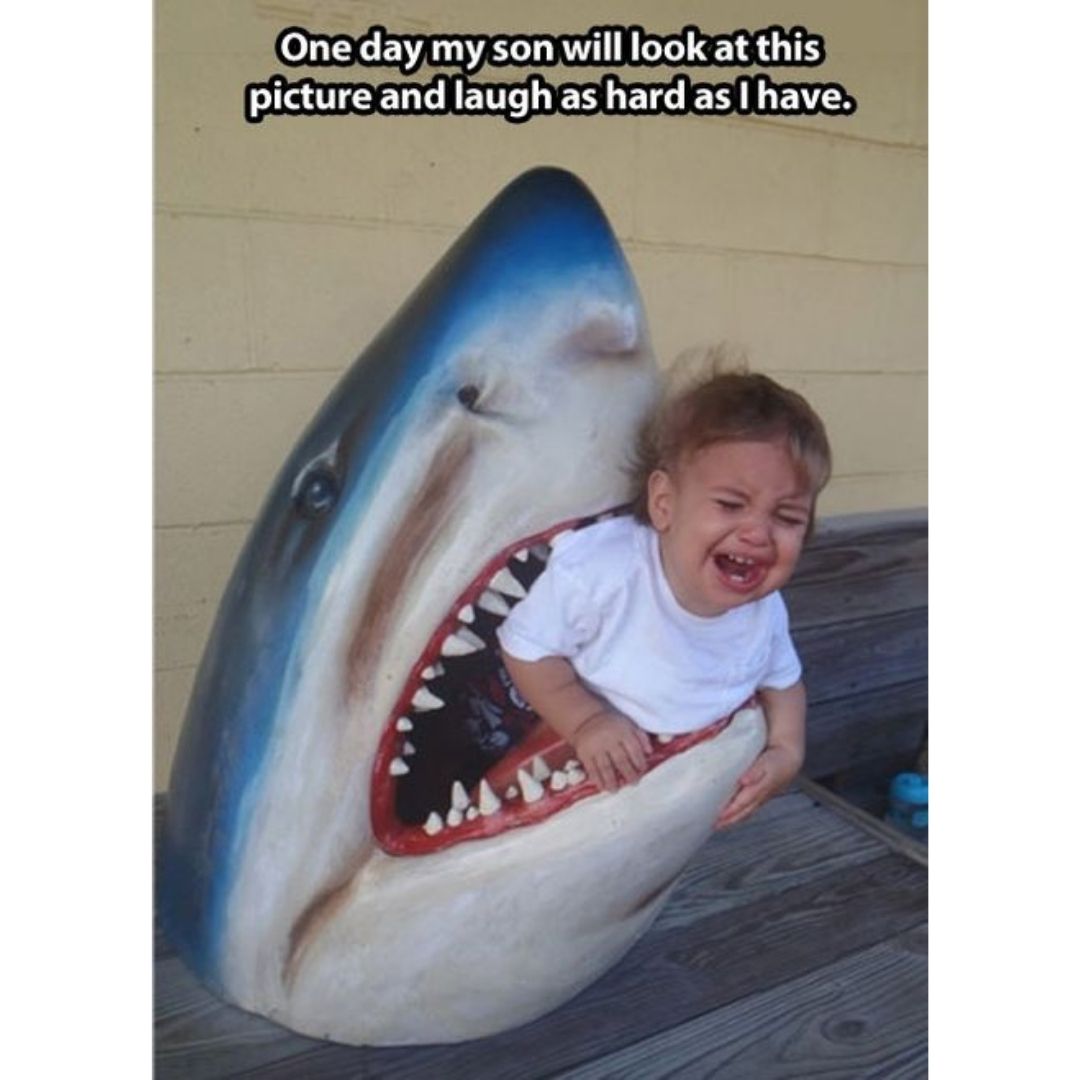 Shark kid funny scuba diving meme