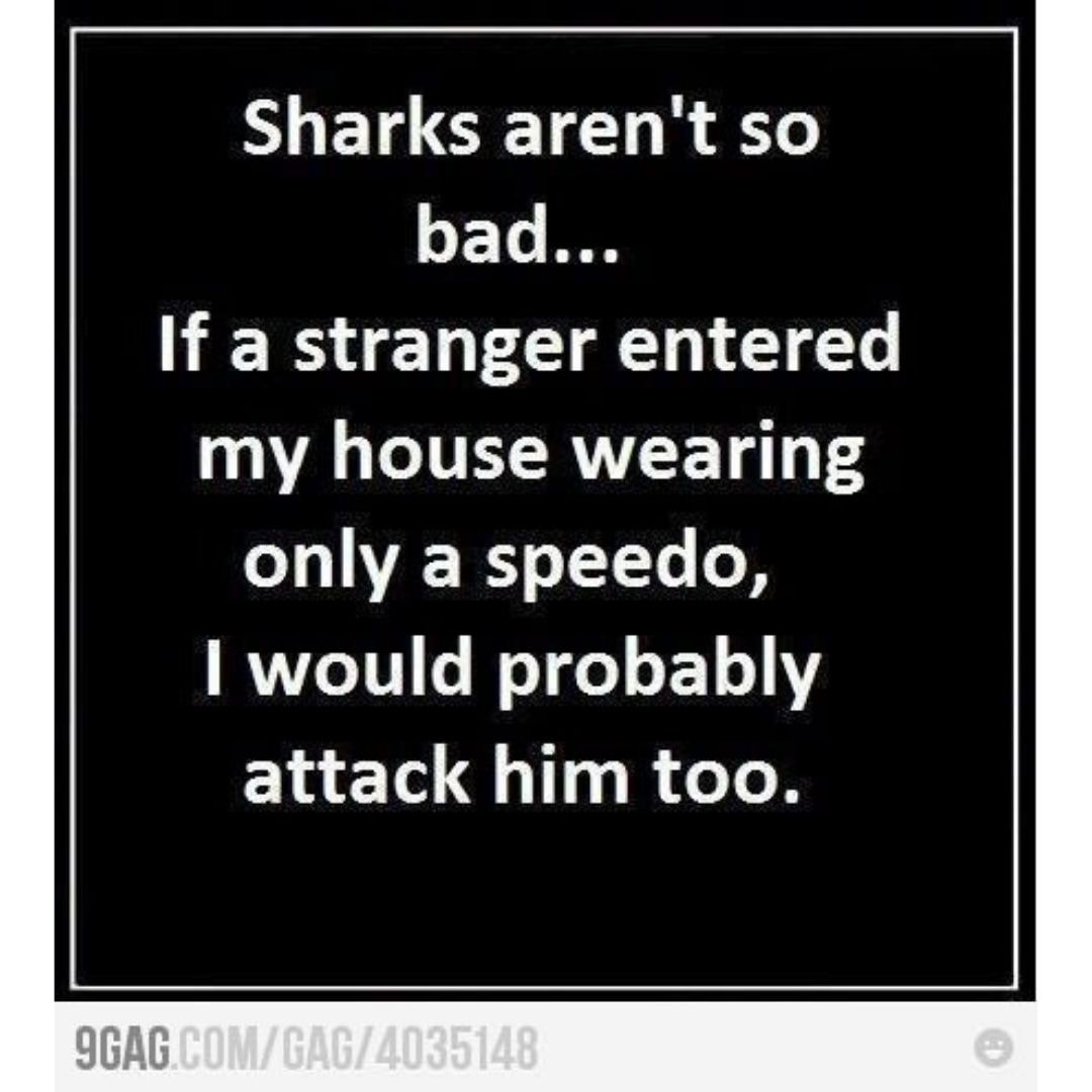 Shark speedo attack scuba diving meme