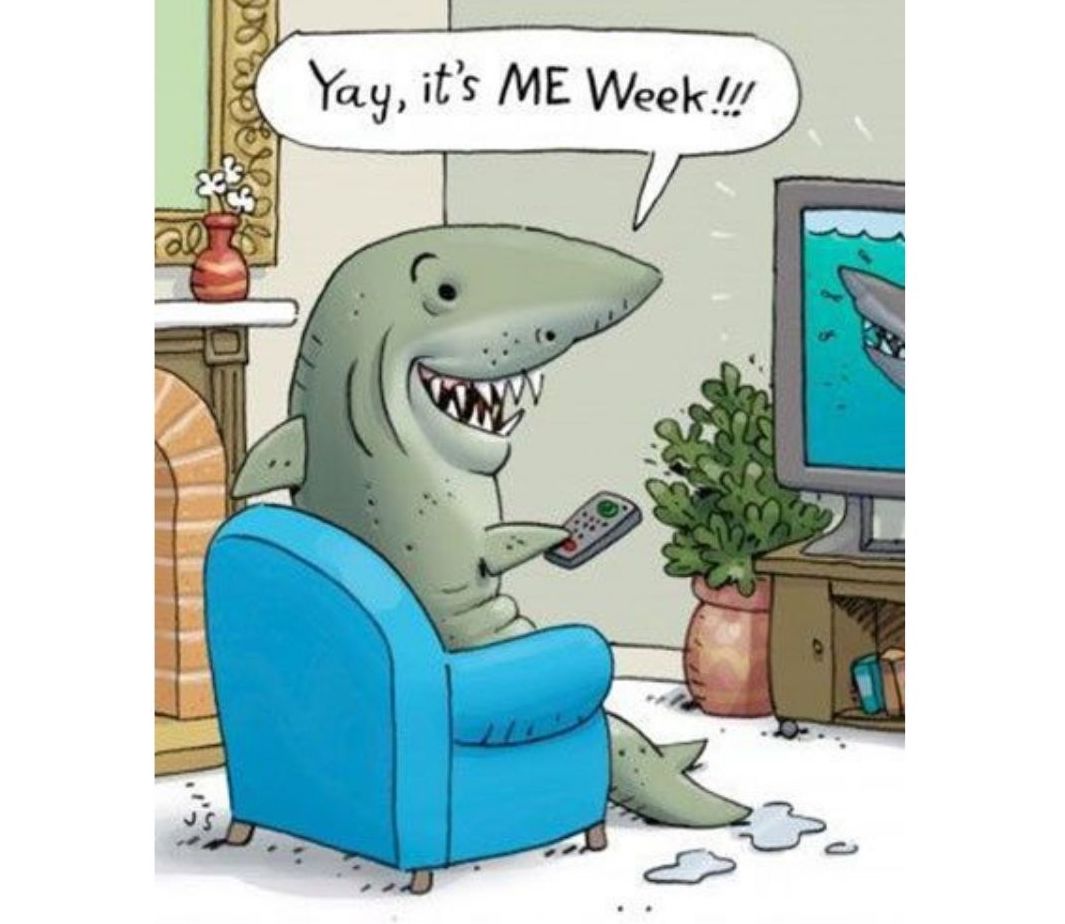Shark week scuba diving meme