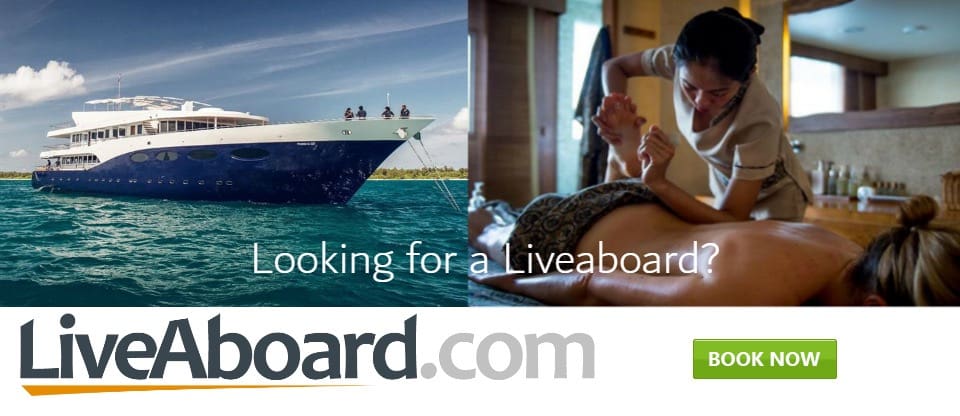 Book Your Scuba Diving Liveaboard Trip