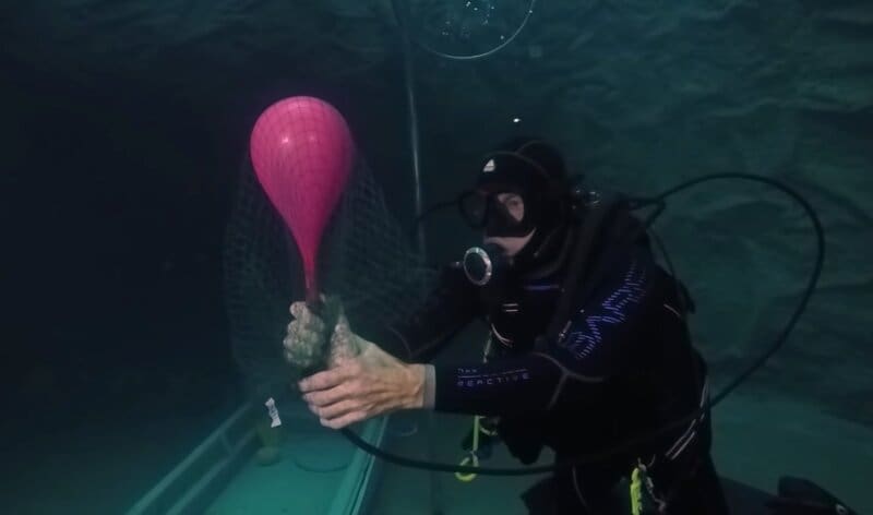 PADI Open Water Diver Manual Answers Chapter 1 Knowledge Review