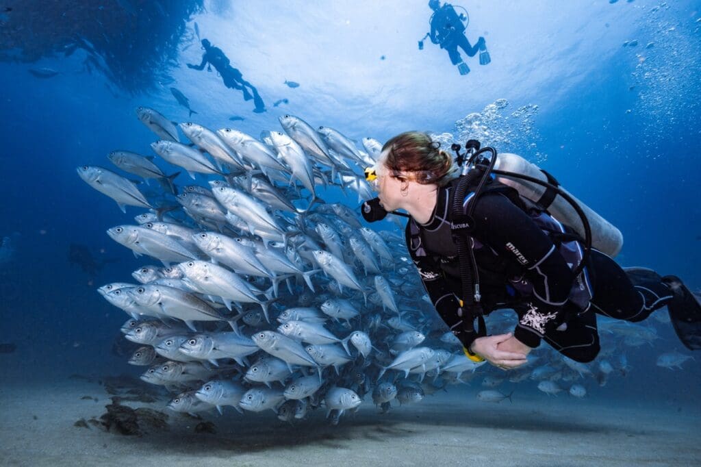Dive and travel insurance is crucial and how DiveAssure can be your ultimate partner for a worry-free diving experience