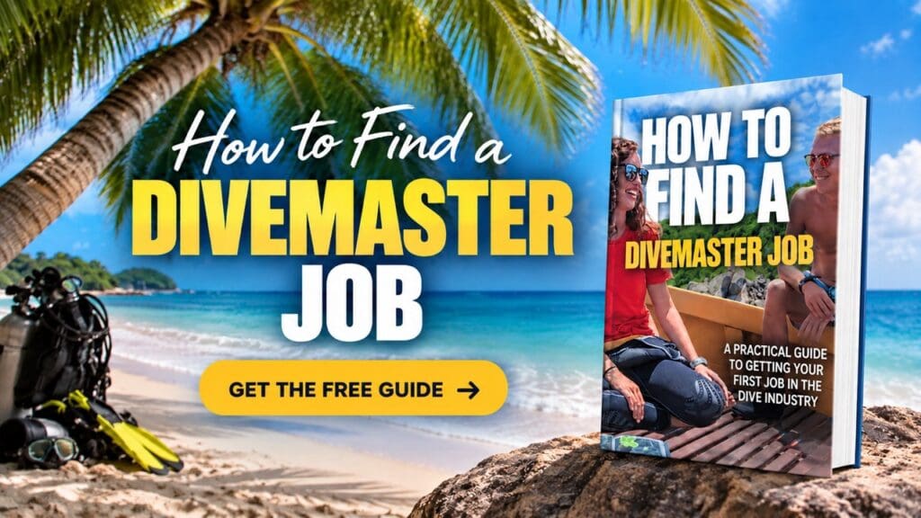 Free guide on how to find a Divemaster job